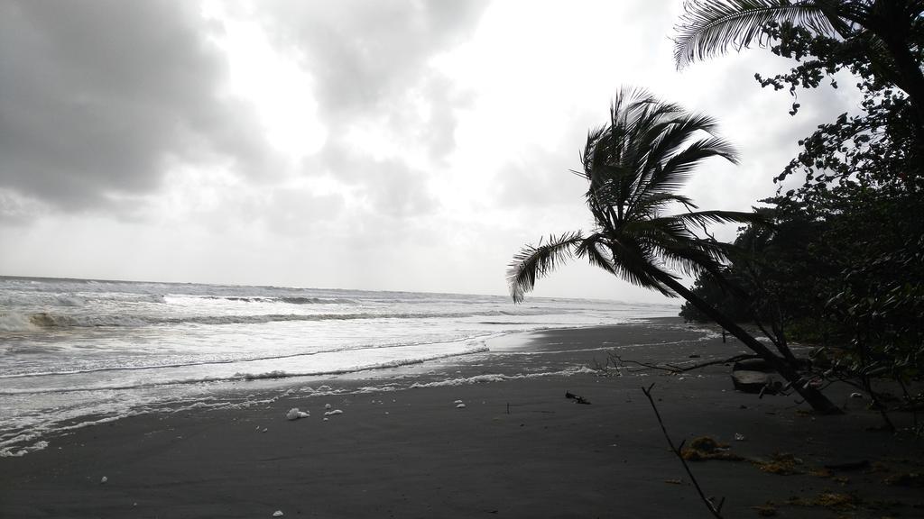 All Rankins Eco-Lodge Tortuguero Kültér fotó