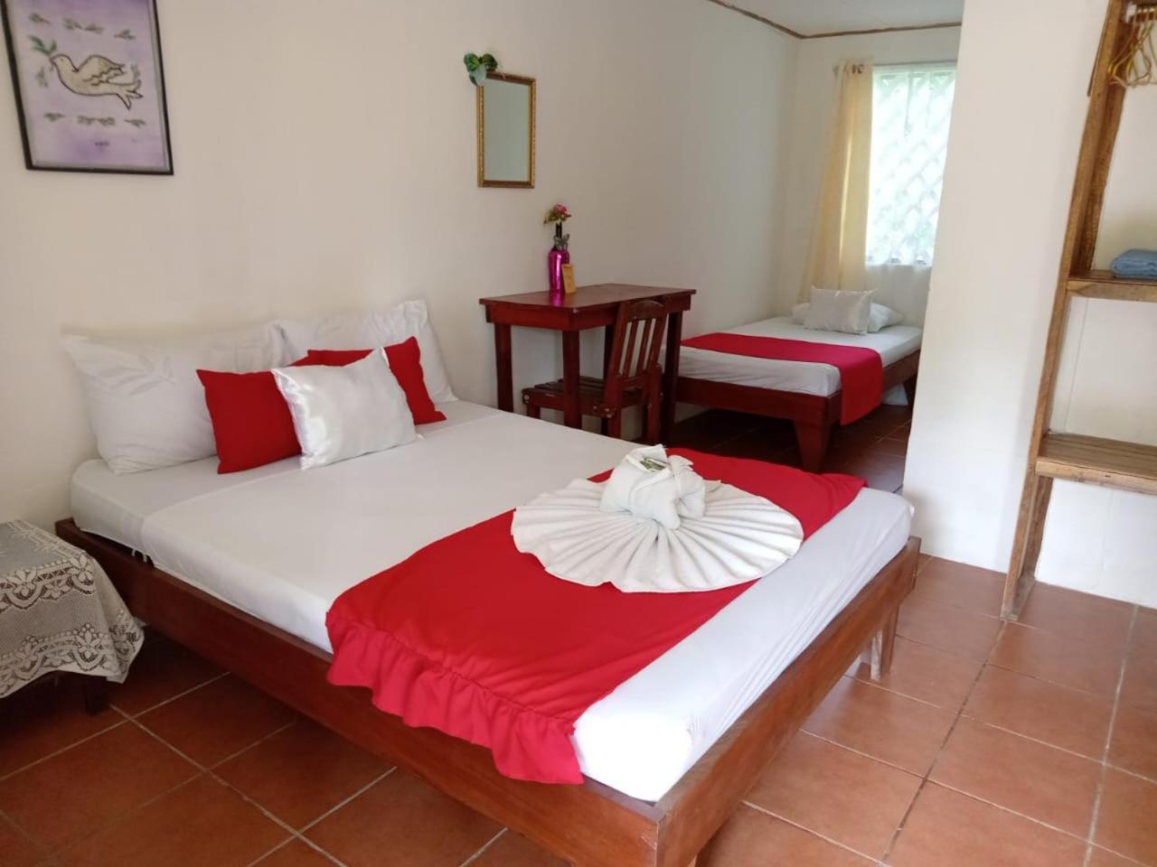All Rankins Eco-Lodge Tortuguero Szoba fotó